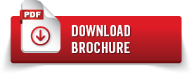 Dynamic Company Profile brochure